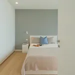 Residenza Maxim With Pool By Rent נסו